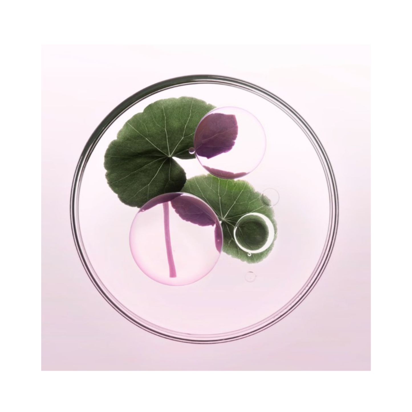 Kérastase Elixir Ultime Rose Hair Oil 50ml